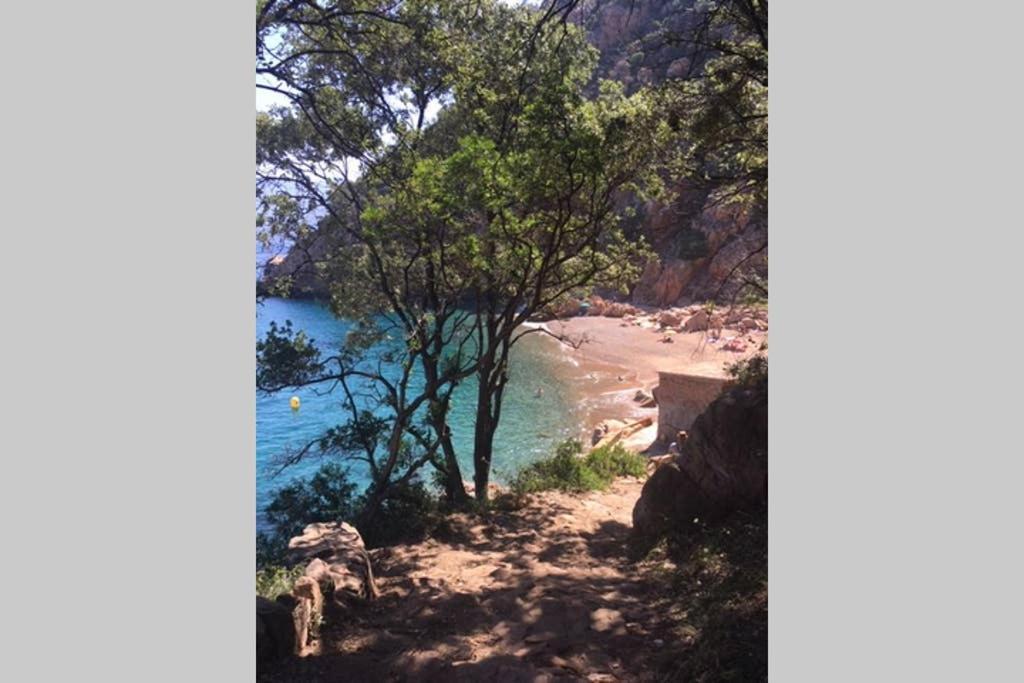 Appartamento Funtana Nova Piana  Esterno foto